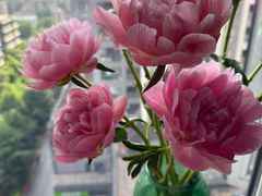 -循礼门鲜花花市(武汉循礼门店)