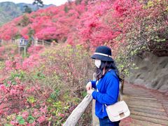 -木兰云雾山