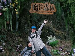-龙湾潭国家森林公园
