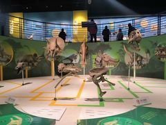 -国家自然博物馆