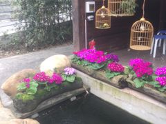 -海兰云天度假区温泉
