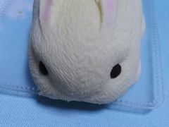 -八角锄烧·肉火锅(天河城店)
