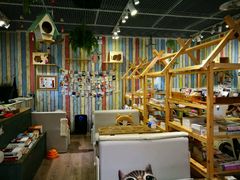大堂-小时光咖啡馆(开森度假森林店)