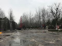 -合肥滨湖国家森林公园