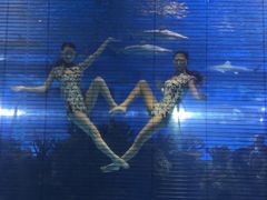 -成都浩海立方海洋公园