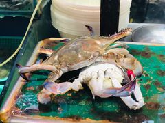 -船梆煮•蒸汽海鲜·炉火烤肉(五四广场店)