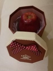 -皇家月府月子中心(沈阳店)