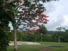 -美国纪念公园