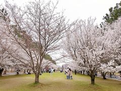 -同济大学(嘉定校区)