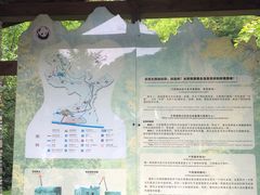 -都江堰中华大熊猫苑