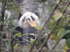 -泉州海丝野生动物世界