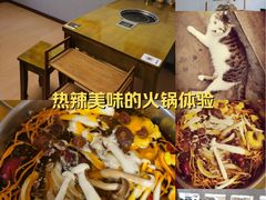 -菌极鲜野生菌火锅店(阳明祠店)