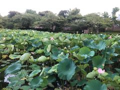 -鹤冈八幡宫