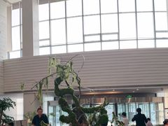 -天津海河悦榕庄·Lobby Lounge大堂吧