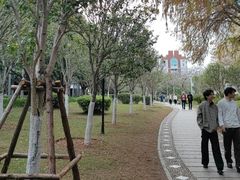 -厦门大学(思明校区)