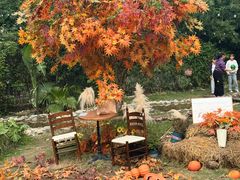 -HERRE·FARM 赫尔露营农场·团建聚会包场