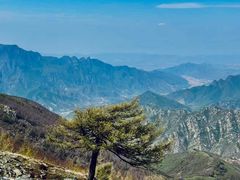 -灵山