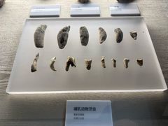 -三山岛