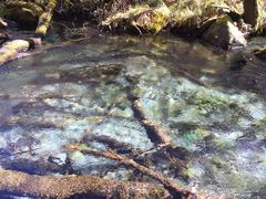 -叠溪松坪沟景区