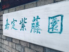 -嘉定紫藤园