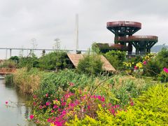 -芒洲湿地公园