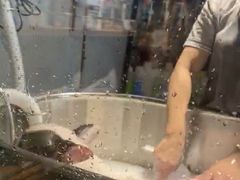 -PETKIT小佩宠物·低压洗护(国顺东路店)