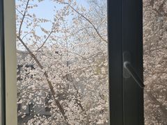 -吉林大学(南岭校区)