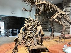 -自贡恐龙博物馆