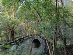 -青龙山国家森林公园