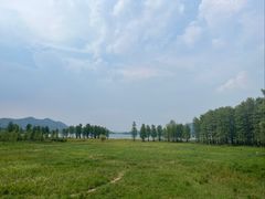 -四明山国家森林公园