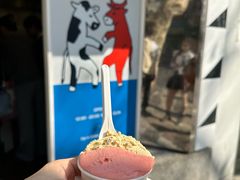 -Dip in Gelato(富民路店)