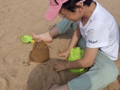 -奉贤海滩