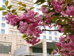-南京钟山宾馆(江苏省会议中心)