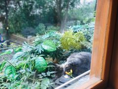 -猫的天空之城概念书店(苏州平江店)