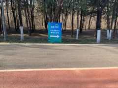 -云岗森林公园