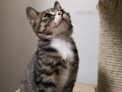 -北京赛佳动物医院