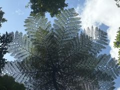 -热带雨林自然公园