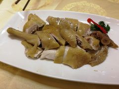 特价白切鸡-和乐喜点(宝岗大道店)