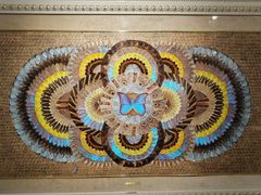 -上海昆虫博物馆