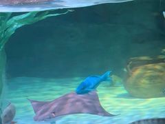 -沈阳海洋探索中心