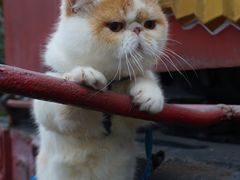 -广九铁路纪念园