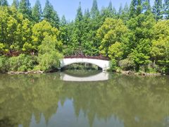 -东平国家森林公园