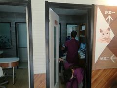 -美联众合宠物医院·爱萌分院·内外科·猫科中心