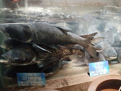 -上名堂·鱼头好吃(体育场路店)