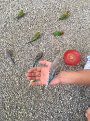 -萌宠亲子动物乐园(槐房万达店)