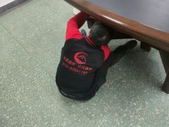 -北京兄弟成功搬家整理收纳
