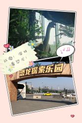 -恐龙探索乐园(磁器口店)