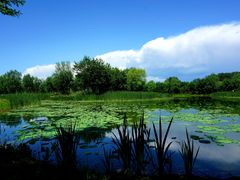 -东郊湿地公园