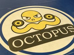 -章鱼健身 Octopus