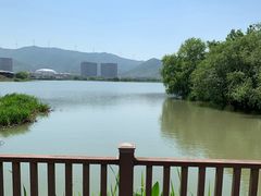 -长兴太湖图影湿地文化园